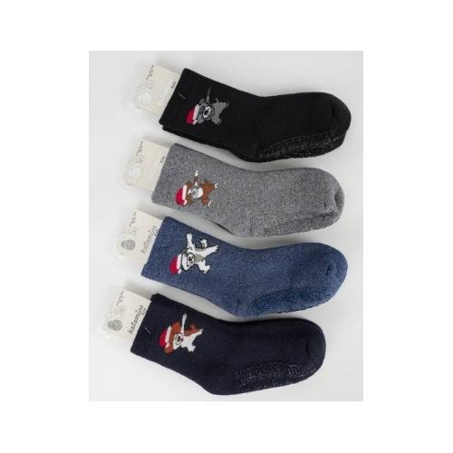 Шкарпетки для хлопчиків KATAMINO